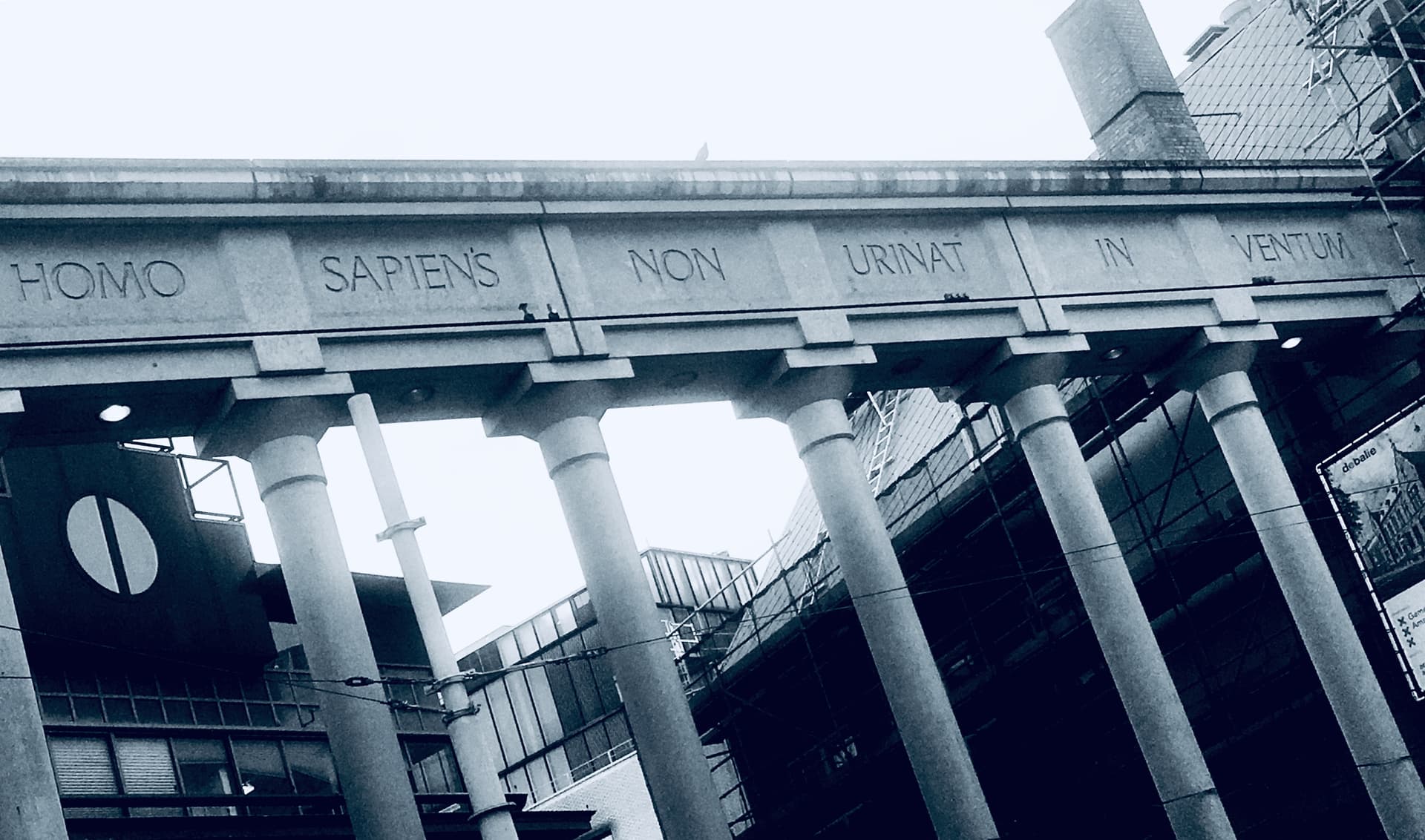 Homo sapiens non urinat in ventum